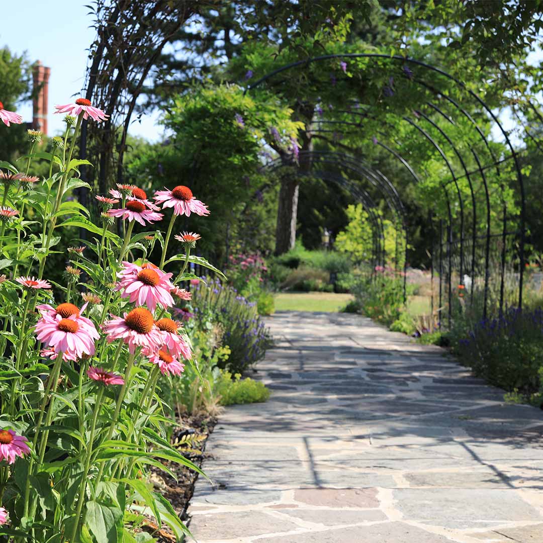 round_pergola_over_stone path_with pink_flowers_in_foreground