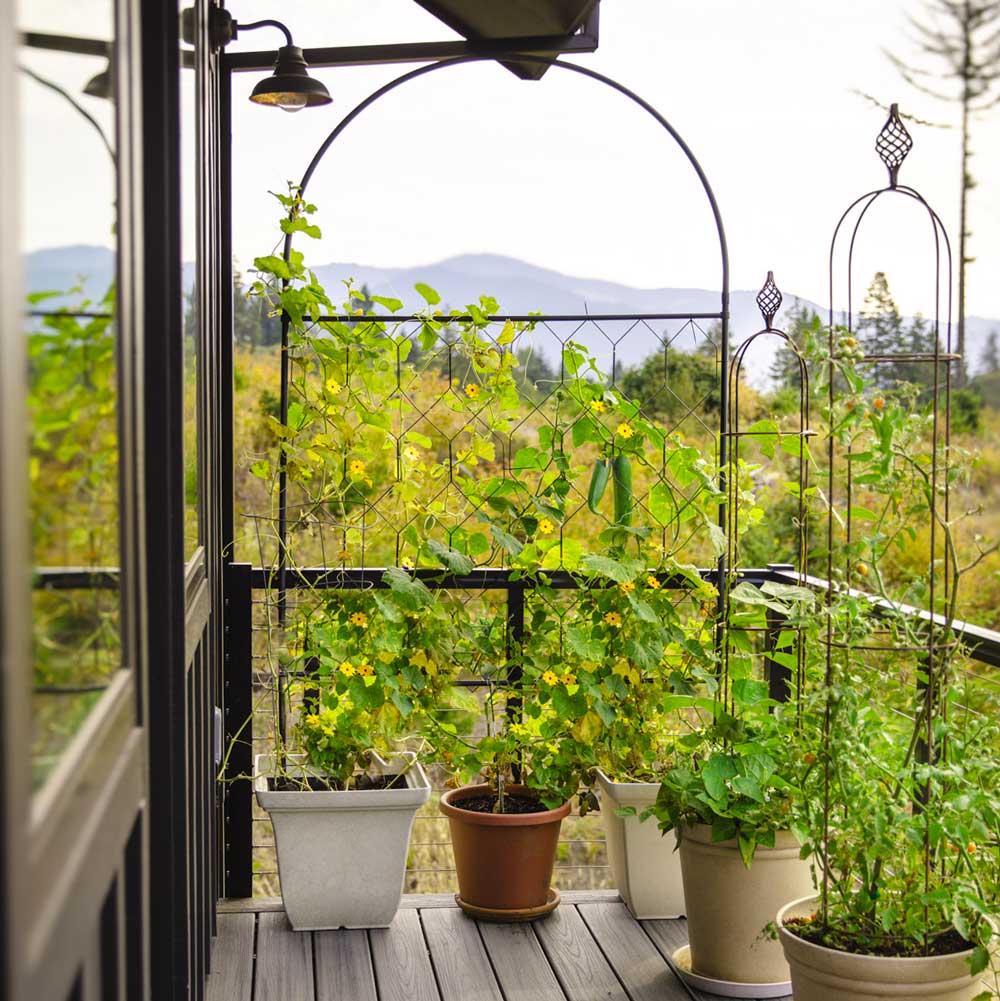 round-screen-elegance-obelisk