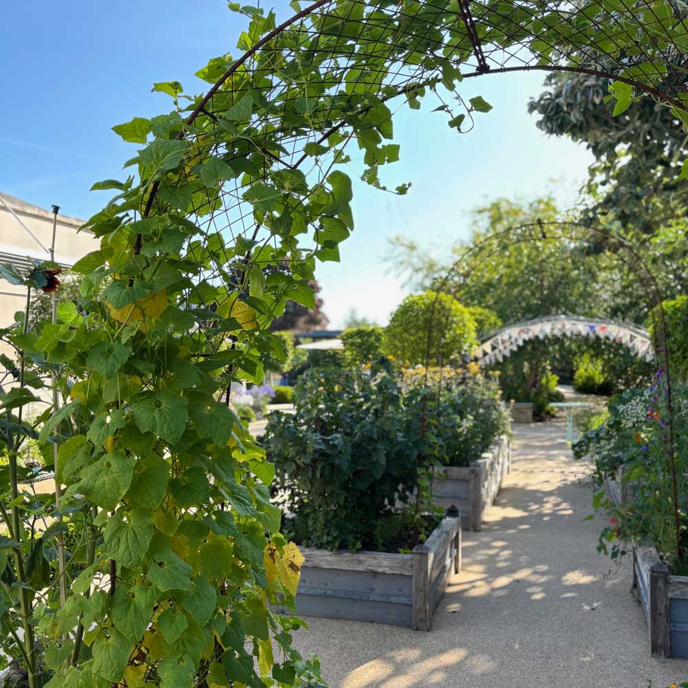 rustic garden arches over a garden path
