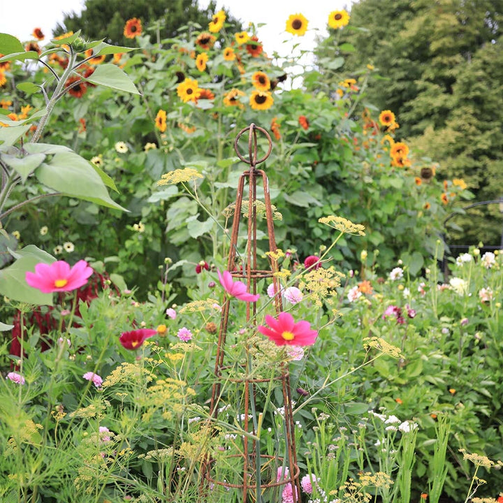 Agriframes elegance obliesk in a rust finish in a flowerbed 