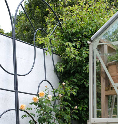 Georgian Round Top Garden Screen