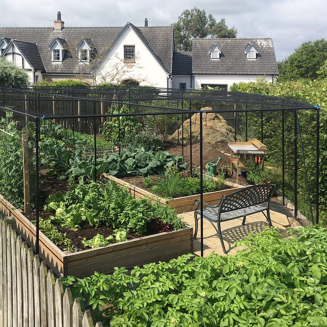 Superior Fruit Cage in Matt Black installed in a kitchen garden with raised beds and a garden bench in it