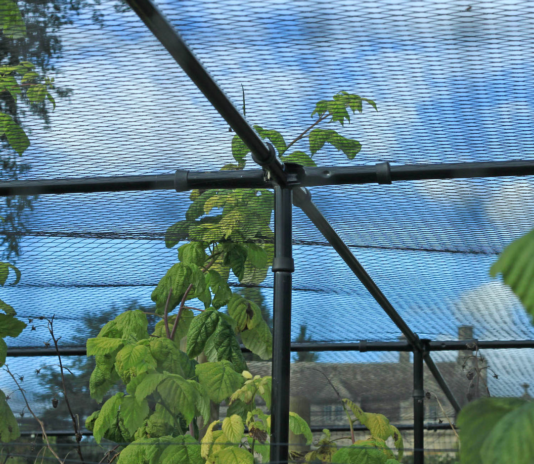 Green plants growing through a wire mesh fruit cage structure with a blurred background