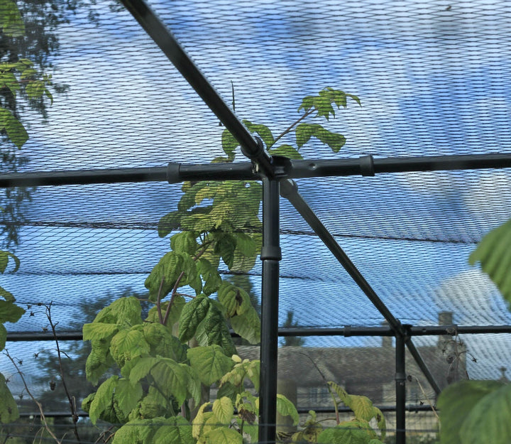 Green plants growing through a wire mesh fruit cage structure with a blurred background