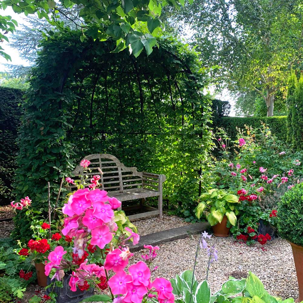 Garden scene with a wooden bench, pink flowers, and greenery.