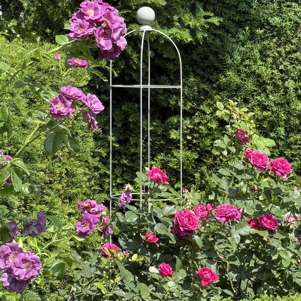 Pink flowers with a metal garden trellis against a green background