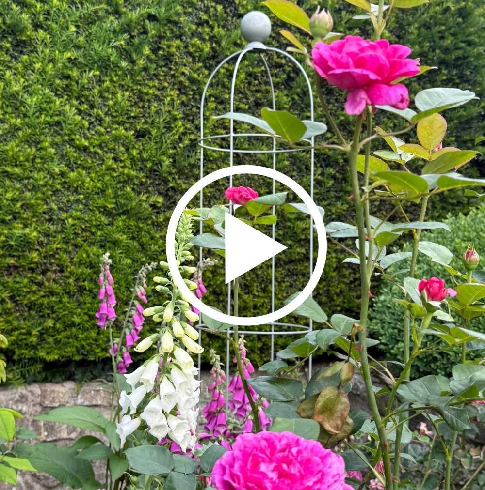 Garden scene with pink and white flowers and a decorative metal archway.