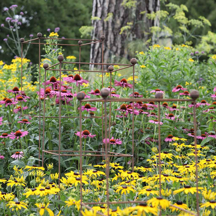 Agriframes plant support with flowers in a background