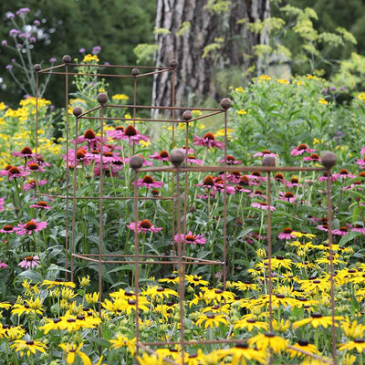 Tower Plant Support - Rustic