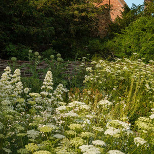 the_newt_garden_display