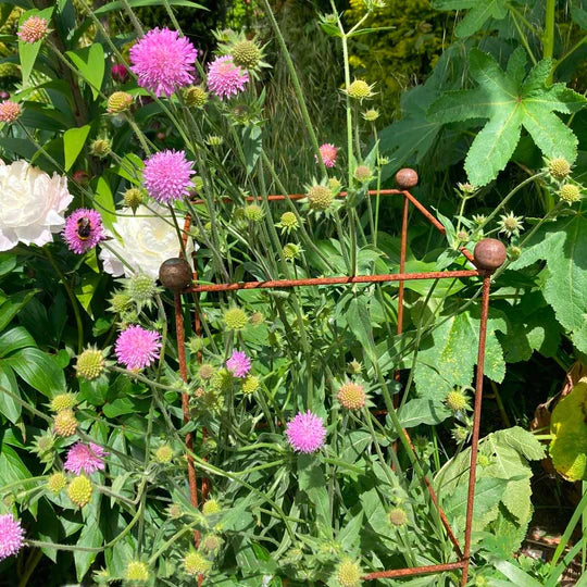 Agirframes Tower Plant Support in a rustic finish with a large crop of pink flowers growing through it. 