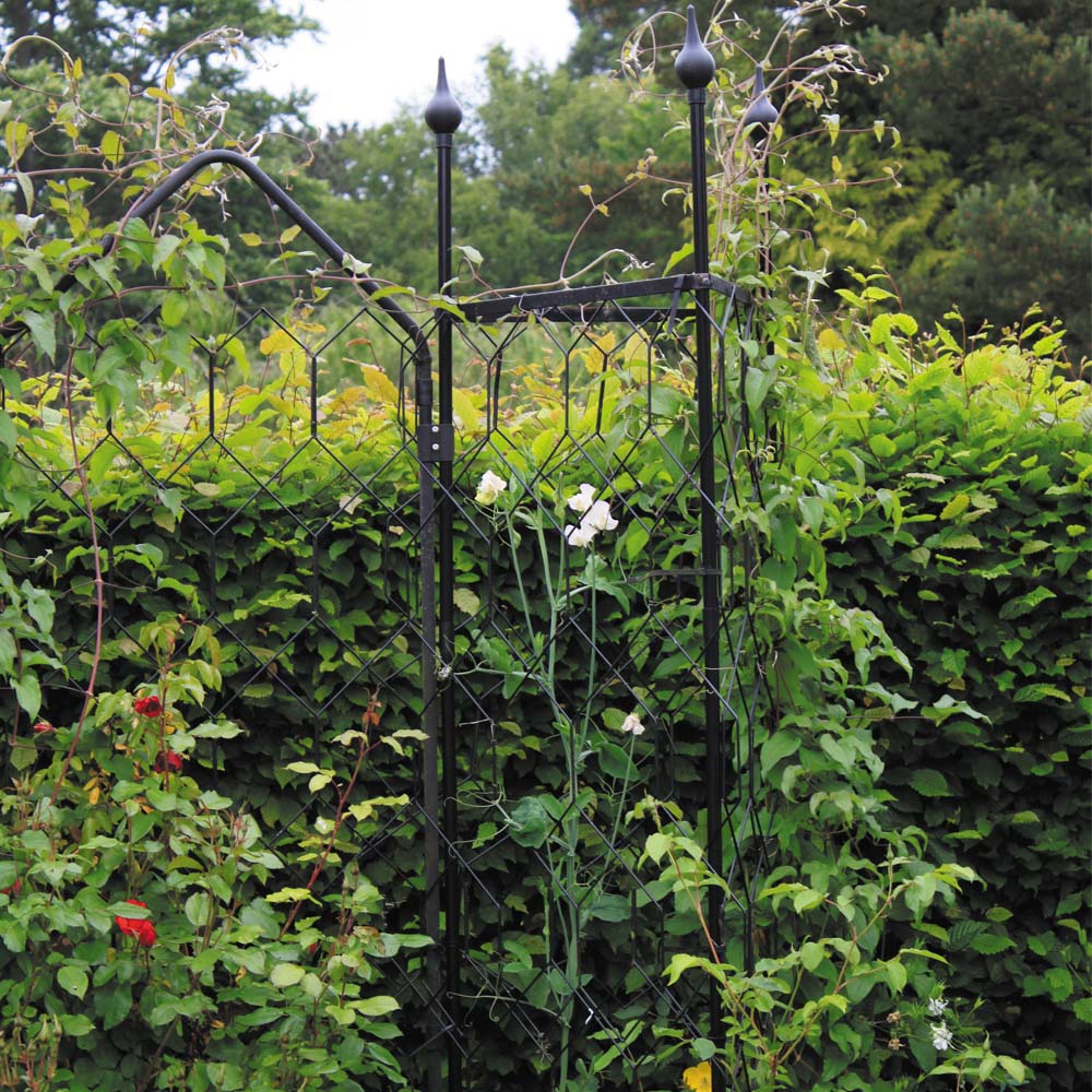 Black metal garden trellis with climbing plants against a green hedge