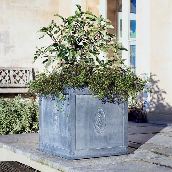 Tuscan Zinc Planter with different varities of plant growing inside on a stone patio 