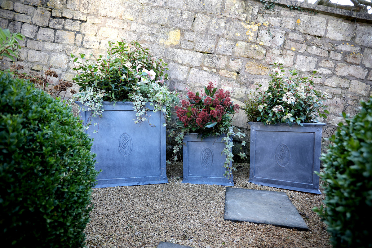 Three Agriframes Tuscan Zinc Planters in sizes small, medium and large with plants growing inside them on a gravel path in a walled garden