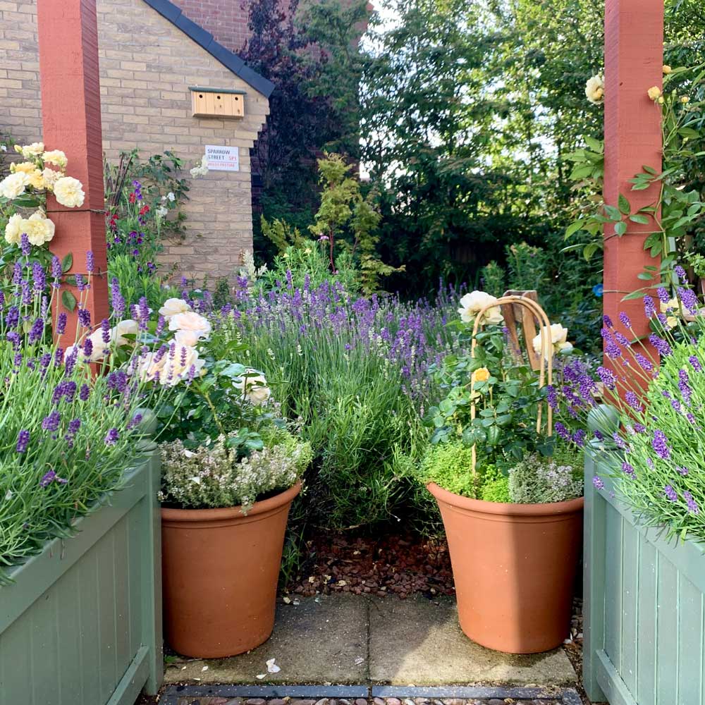 Two large terracotta plant pots positioned either side of a walkway in a floral garden scene. 