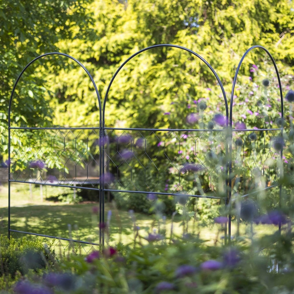 Top half of three agriframes versatility screens, foregrounded by purple flowers 