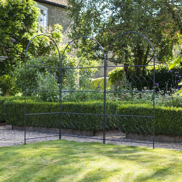 Three Agriframes versatility screens linked together on the corner of a lawn in a garden scene. 