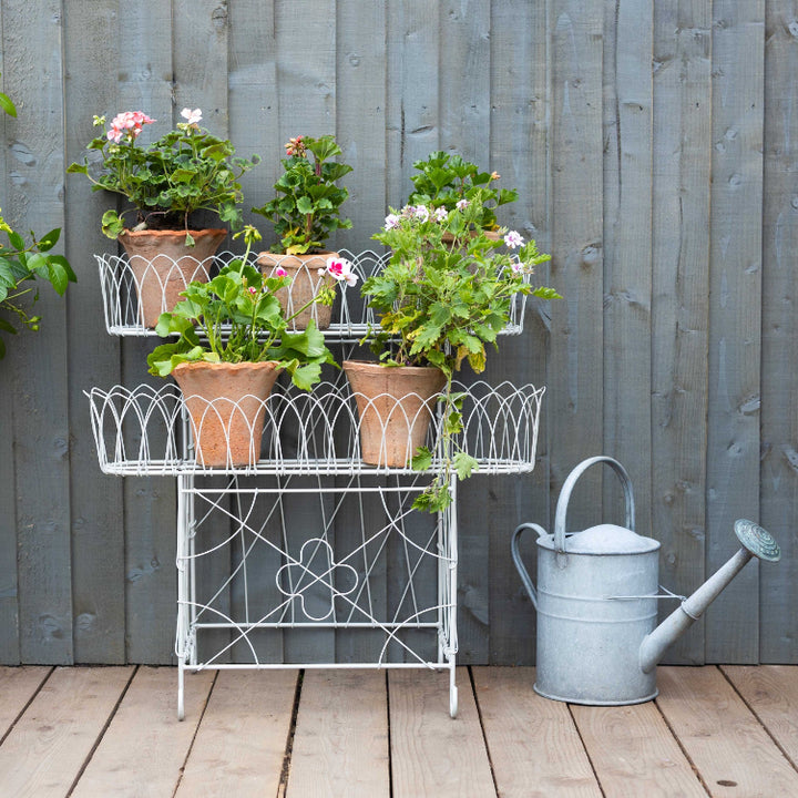 Agriframes victorian wirework plant stand with several potted plants on it on a decking 