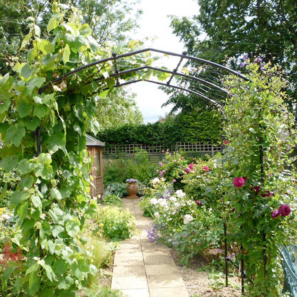 Agriframes Vine Arch