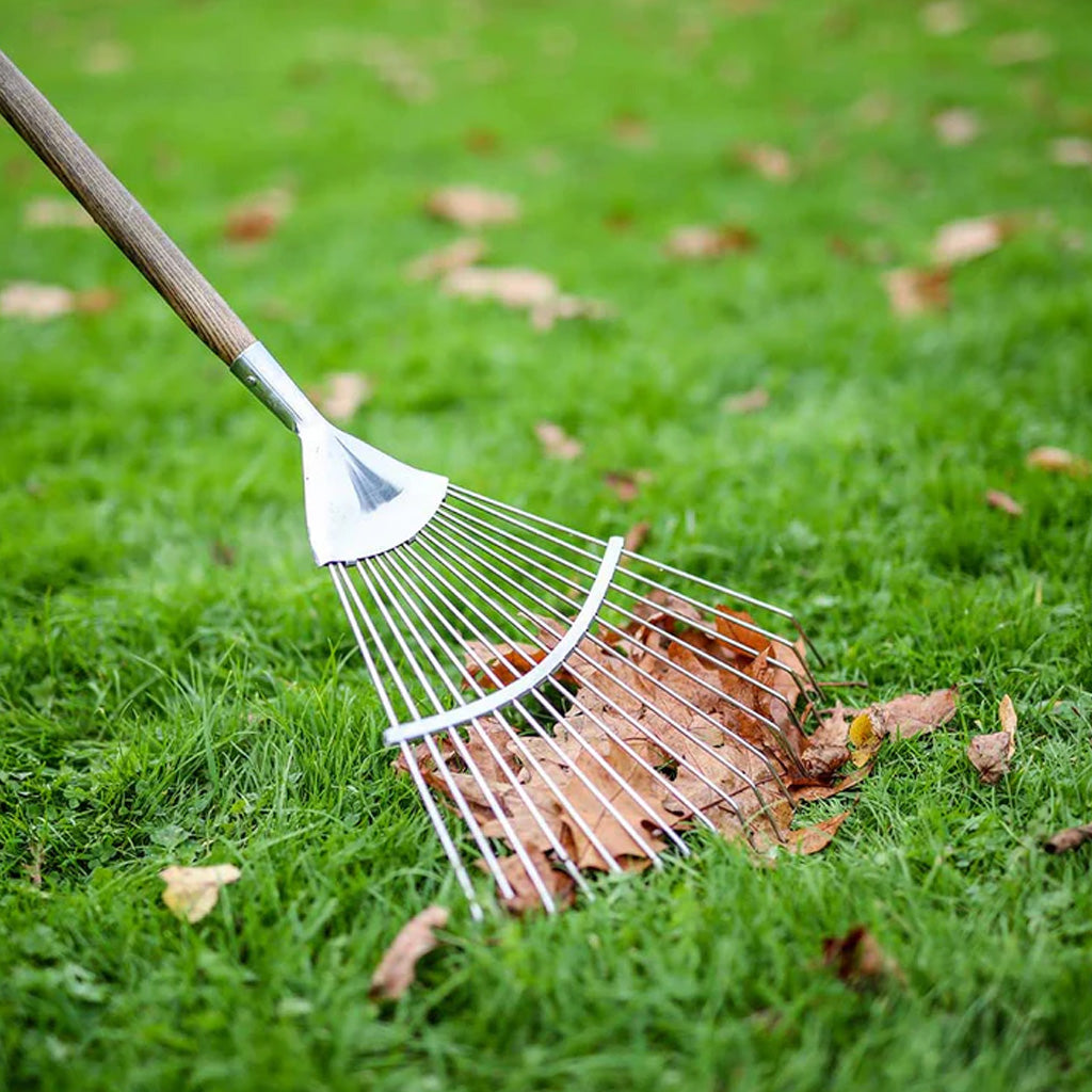 Agriframes Vintage Ash Leaf Rake being used to rake up leaves on a lawn