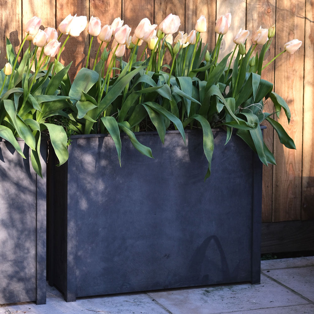 Black planter with pink tulips against a wooden wall