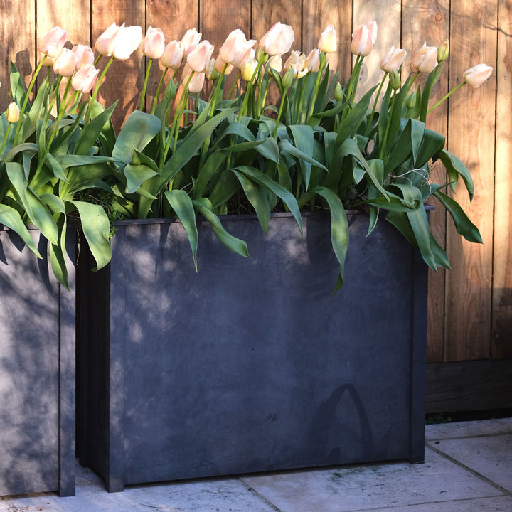 Black planter with pink tulips against a wooden wall