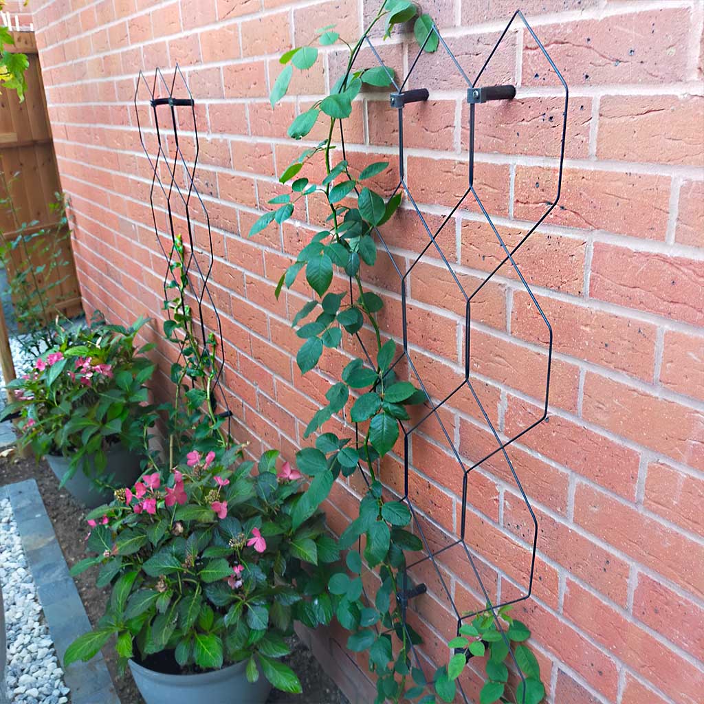 Product On Display - Our Customers Gardens | Agriframes