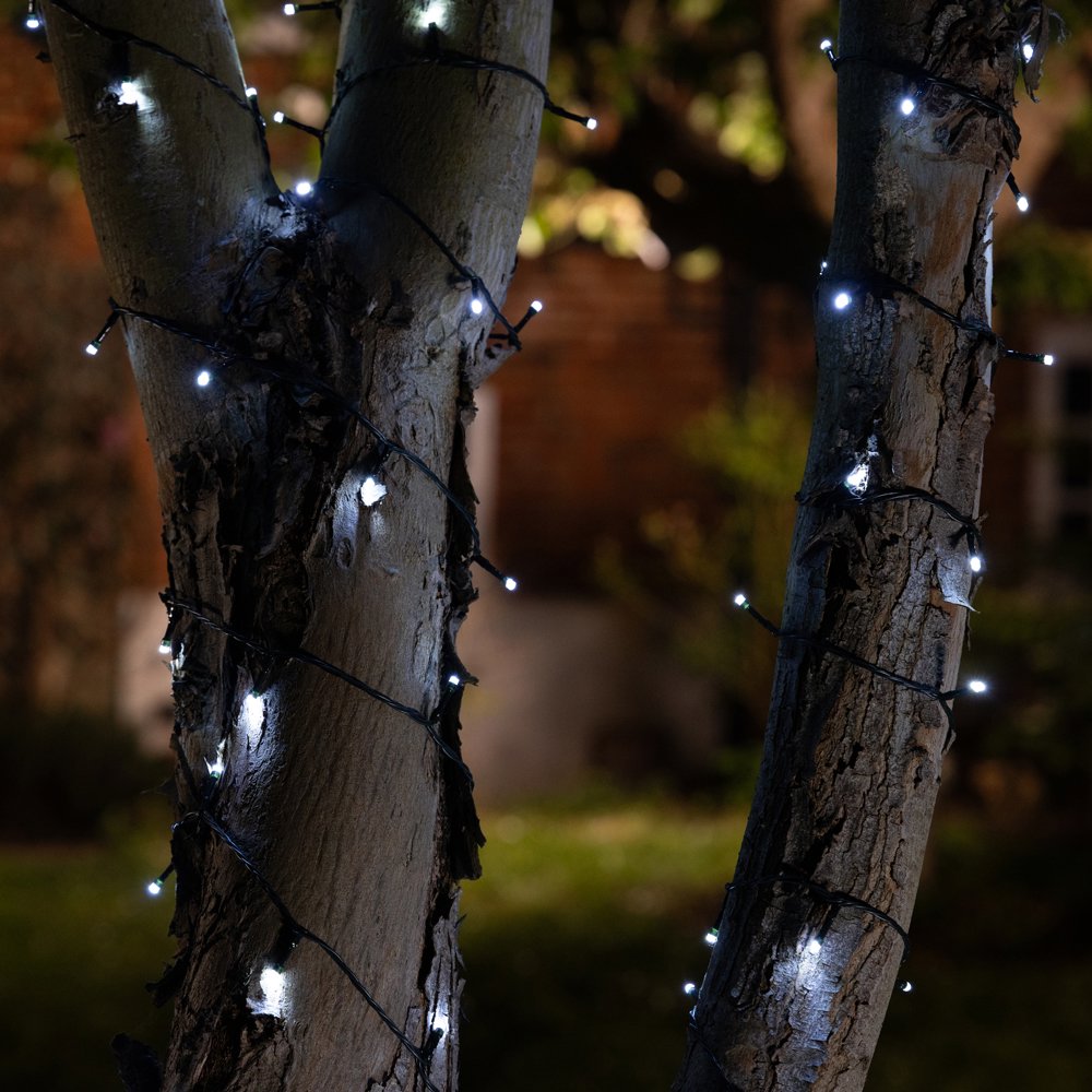 Agriframes Elan Solar Fairy Lights wrapped around a tree at night time.