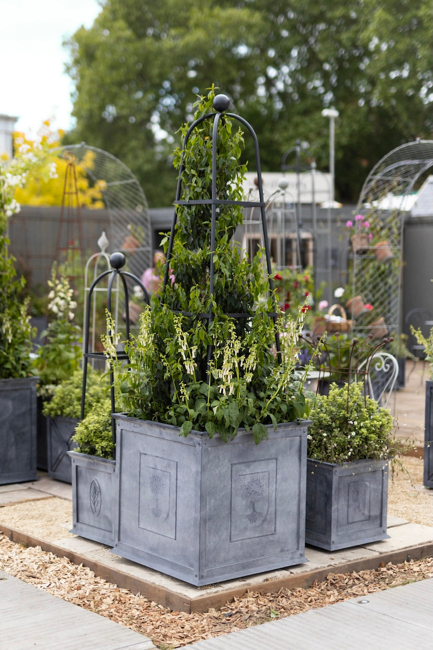 Three Agriframes Zinc Planters in different designs and sizes arranged on a patio with obelisks growing in each one at RHS Chelsea Flower Show 2026.