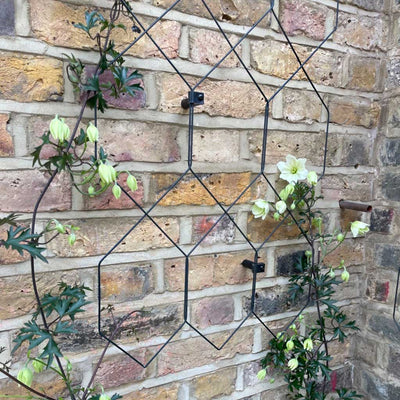 Lattice Wall Trellis - Gloss Black