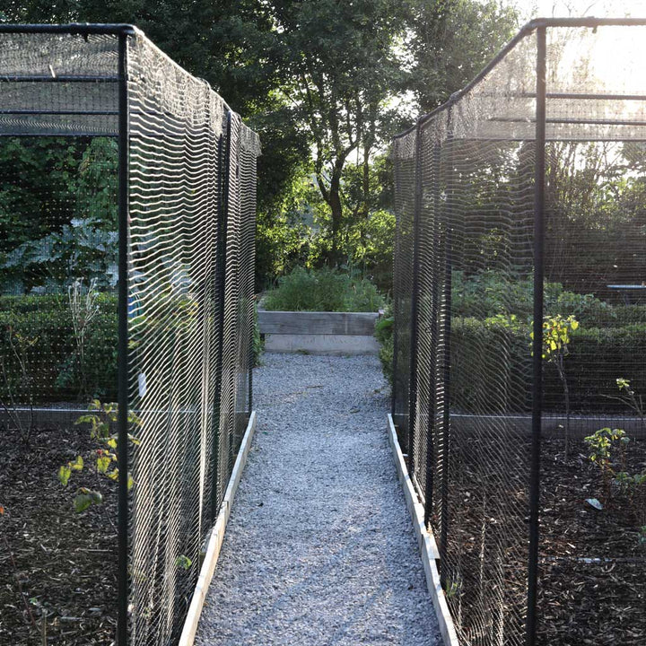 Superior Fruit Cage- in use close up in between - agriframes