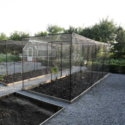 Superior Fruit Cage- in use agriframes
