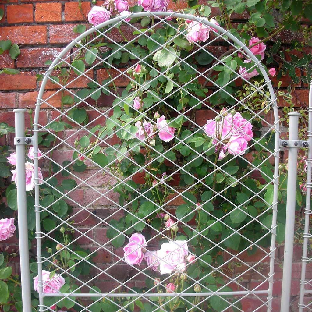 Elegance Round Screens