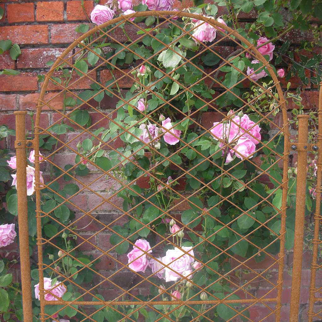 Garden Screens - Elegance Collection - Round | Agriframes