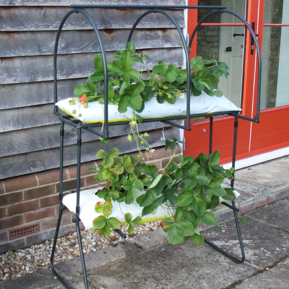 strawberry table top plant support
