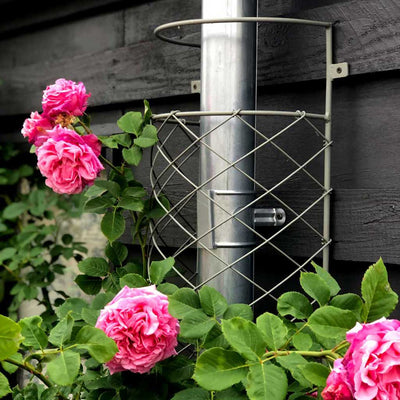 Elegance Drainpipe Cover- in use with flowers - agriframes