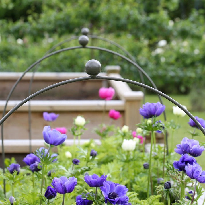Elegance Hooped Cloche in Sage Green