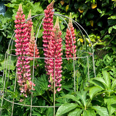 Agriframes Elegance Bell Choche Sage Green In Garden 