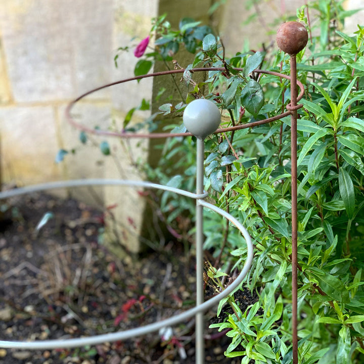 Elegance Hooped Plant Support