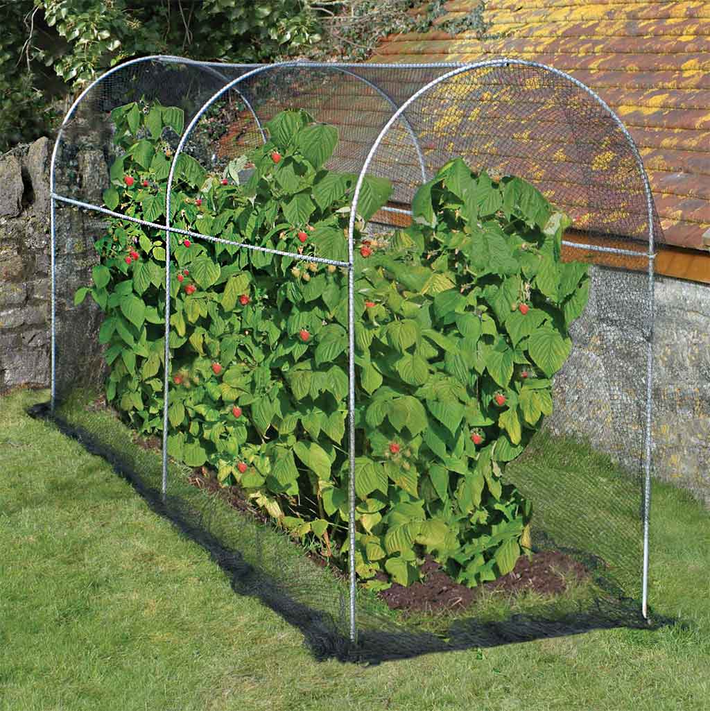 Elegance Long Fruit Cage