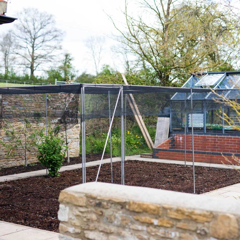 walk in veg and fruit cage