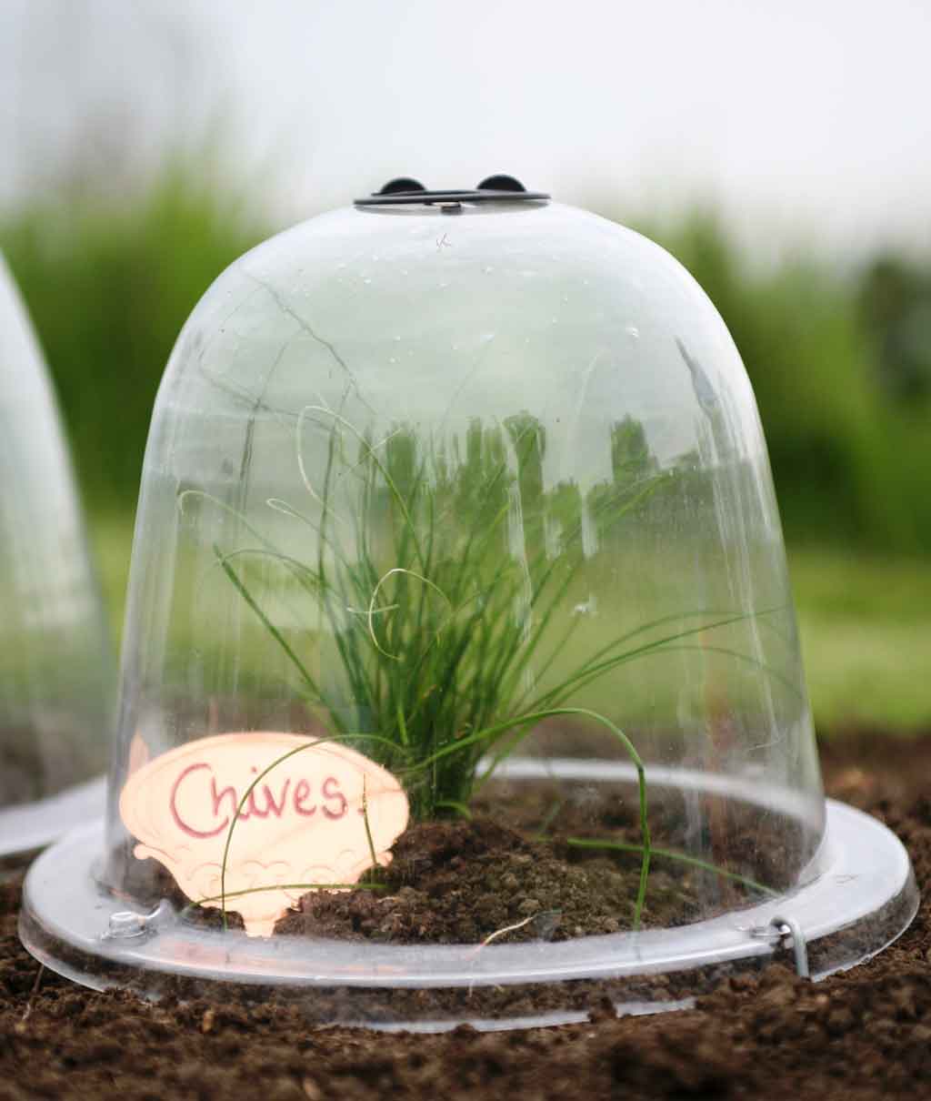 Victorian Bell Cloche