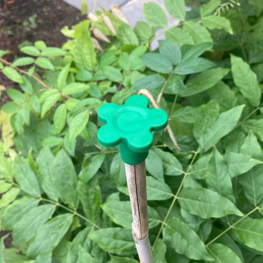 cap on top of garden cane