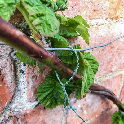 Climbing Wire