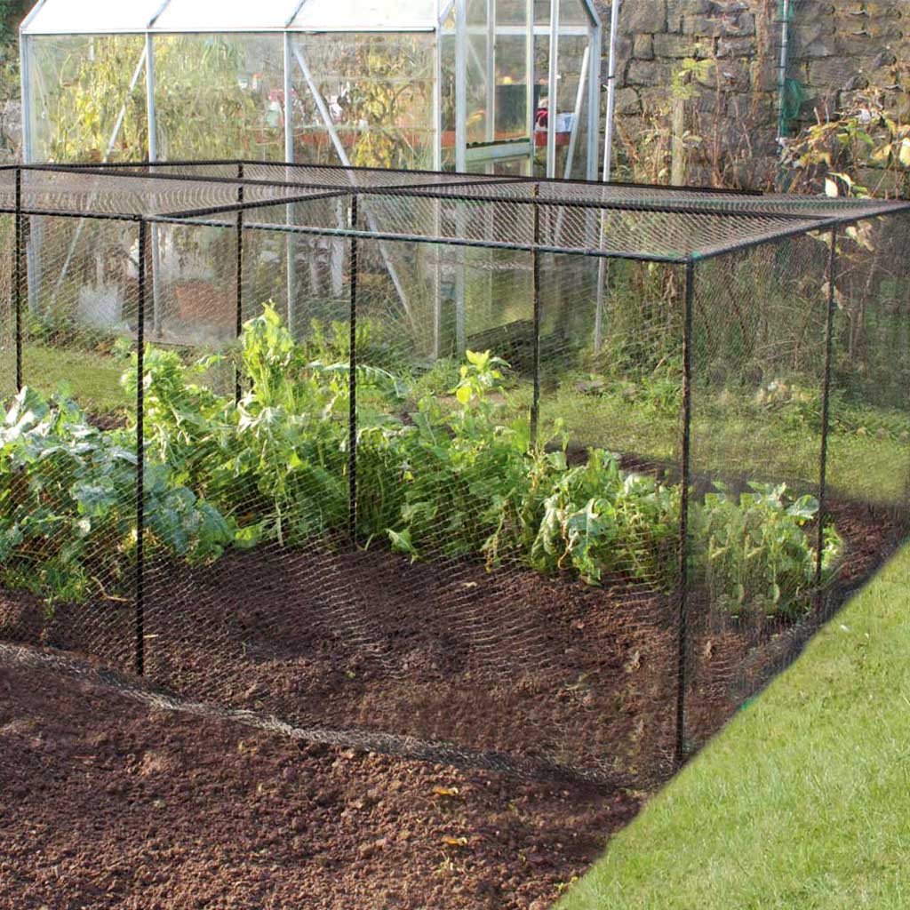 DIY Crop Cage- on veg patch contructed- agriframes