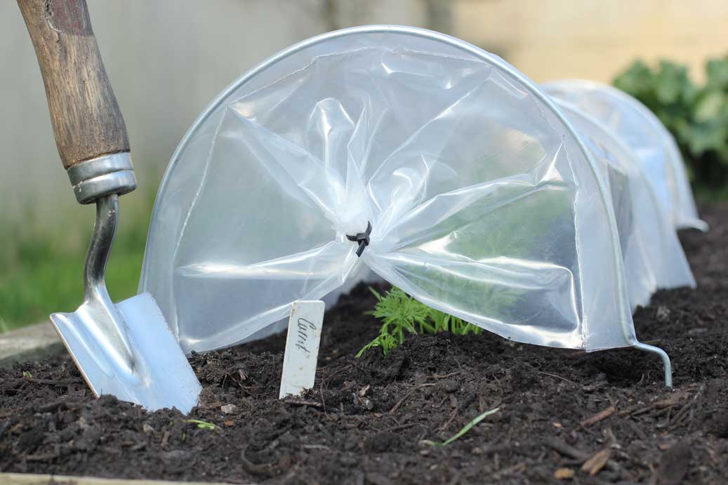 easy seedling tunnel in use in garden