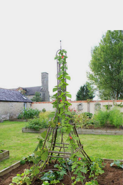 Eiffel tower plant frame with plant 