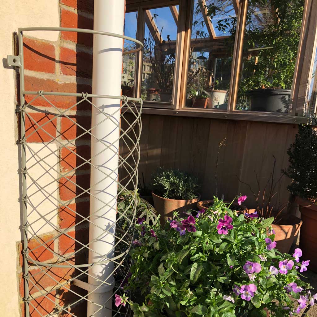 Elegance Drainpipe Cover- wide next to flowers- agriframes