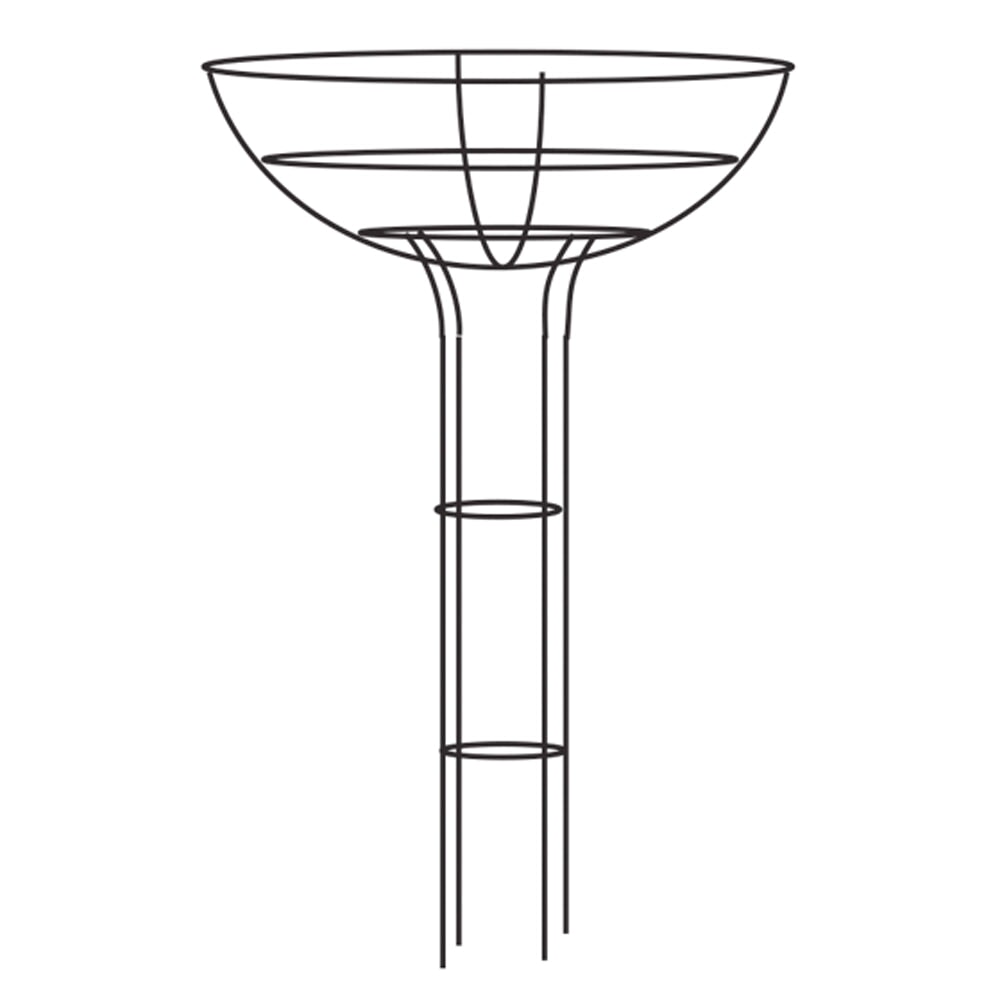 elegance rose umbrella line drawing