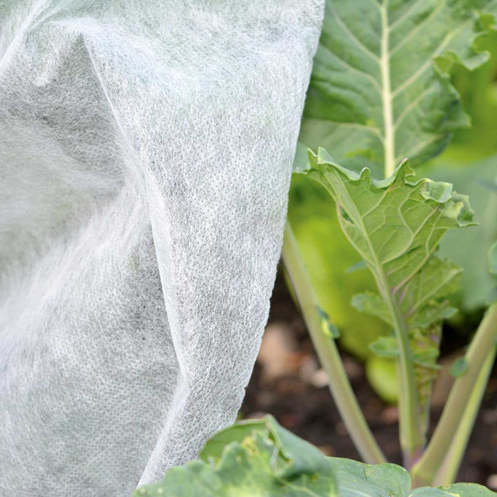 garden fleece protection close up 